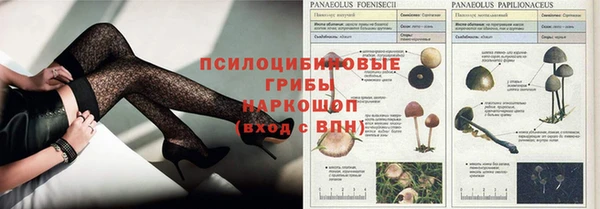 гидропоника Верхний Тагил
