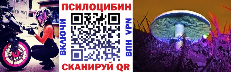 Псилоцибиновые грибы Psilocybe  как найти закладки  Верхняя Пышма 