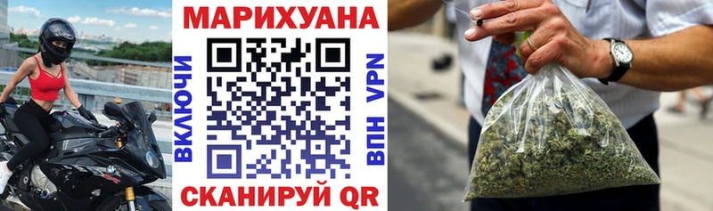 Марихуана план  Верхняя Пышма 